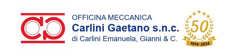 logo-carlini-50.jpeg